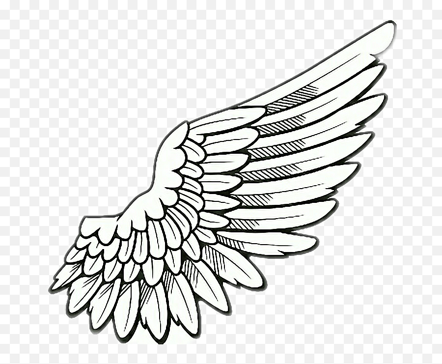 Right Wing Png - Wing Drawing 5141661 Vippng Transparent Background Angel Wings Png Clipart,Angle Wings Png