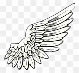 Right Wing Png - Wing Drawing 5141661 Vippng Transparent Background Angel Wings Png Clipart