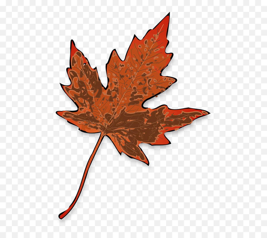 Brown Fall Leaf Clip Art - Vector Clip Art Içimizin De Balkonu Olsayd Arada Çkp Nefes Alsaydk Png,Autumn Leaf Icon