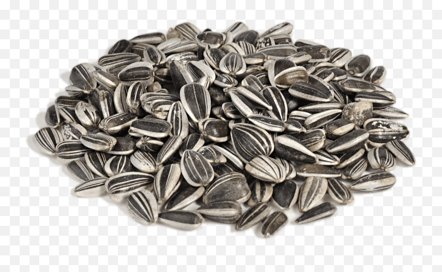 Download Sunflower Seeds Png Image For Free - Sunflower Seeds Transparent Background,Seed Png