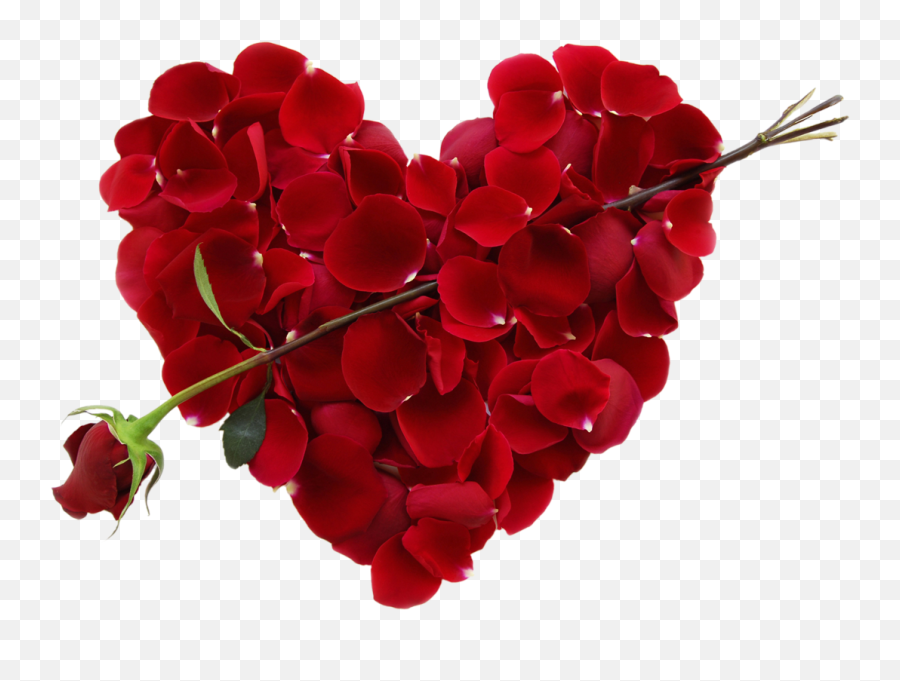 Rose Petal Heart Png Images - Day,Rose Heart Png