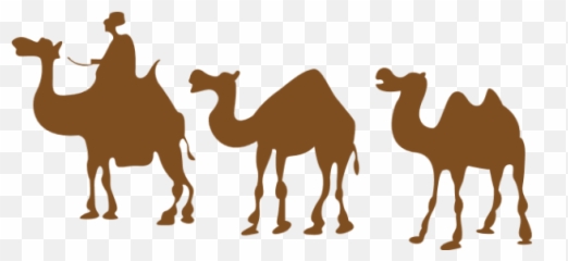 Free Online Camel Hump Animal Animals Vector For - Camel Drawing Png,Camel Png