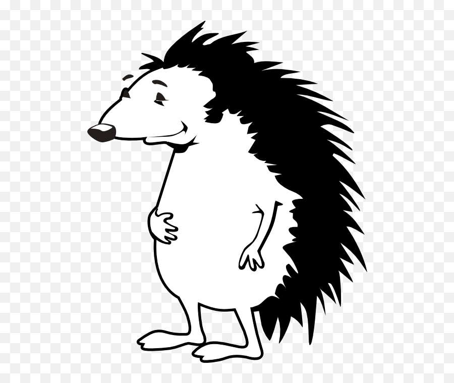 Hedgehog Black White Line 555pxpng - He 49657 Png Images Porcupine Clipart,Hedgehog Transparent Background