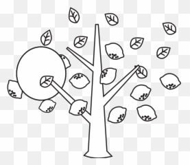 Lemon Tree Png - Line Art
