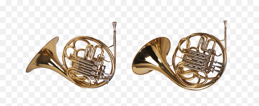 700 Free Trumpet U0026 Music Images - Pixabay Most Expensive Trumpet Png,Trumpet Transparent