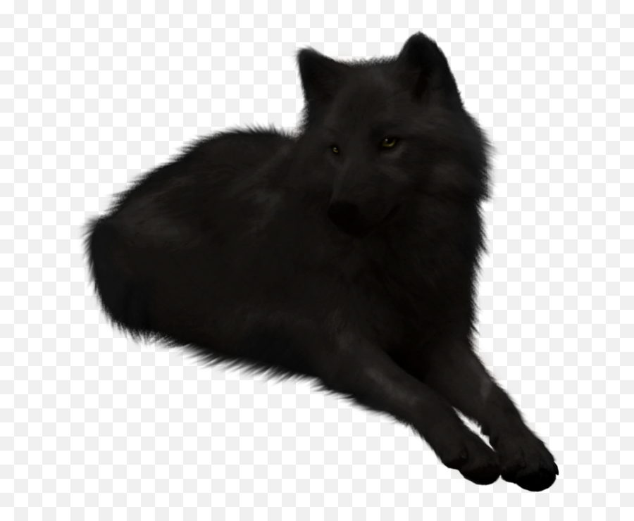 Image Black Wolf Stock Cutout - Black Wolf Png,Black Wolf Png