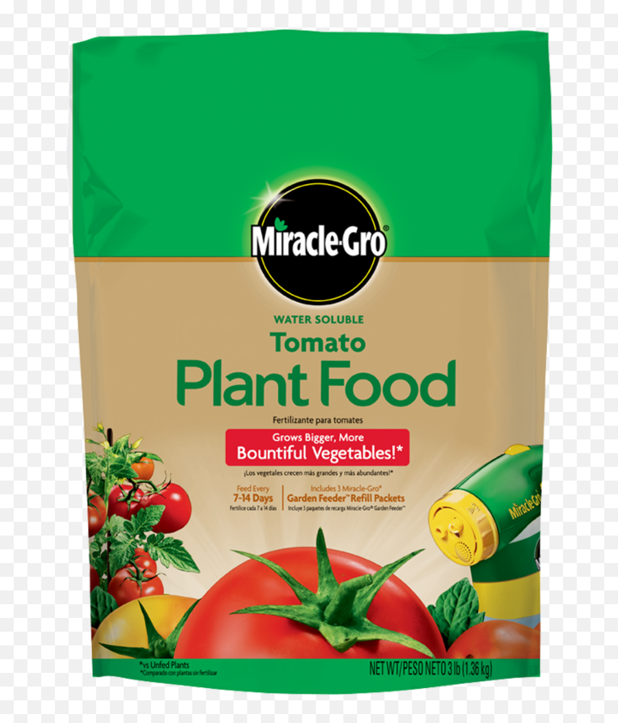 Miracle - Gro Water Soluble Tomato Plant Food Miracle Gro Rose Food Png,Tomatoe Png