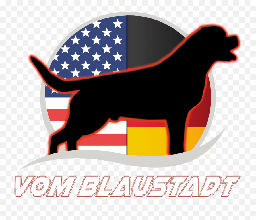 Rottweiler Logo - Logodix Dog Catches Something Png,Rottweiler Png