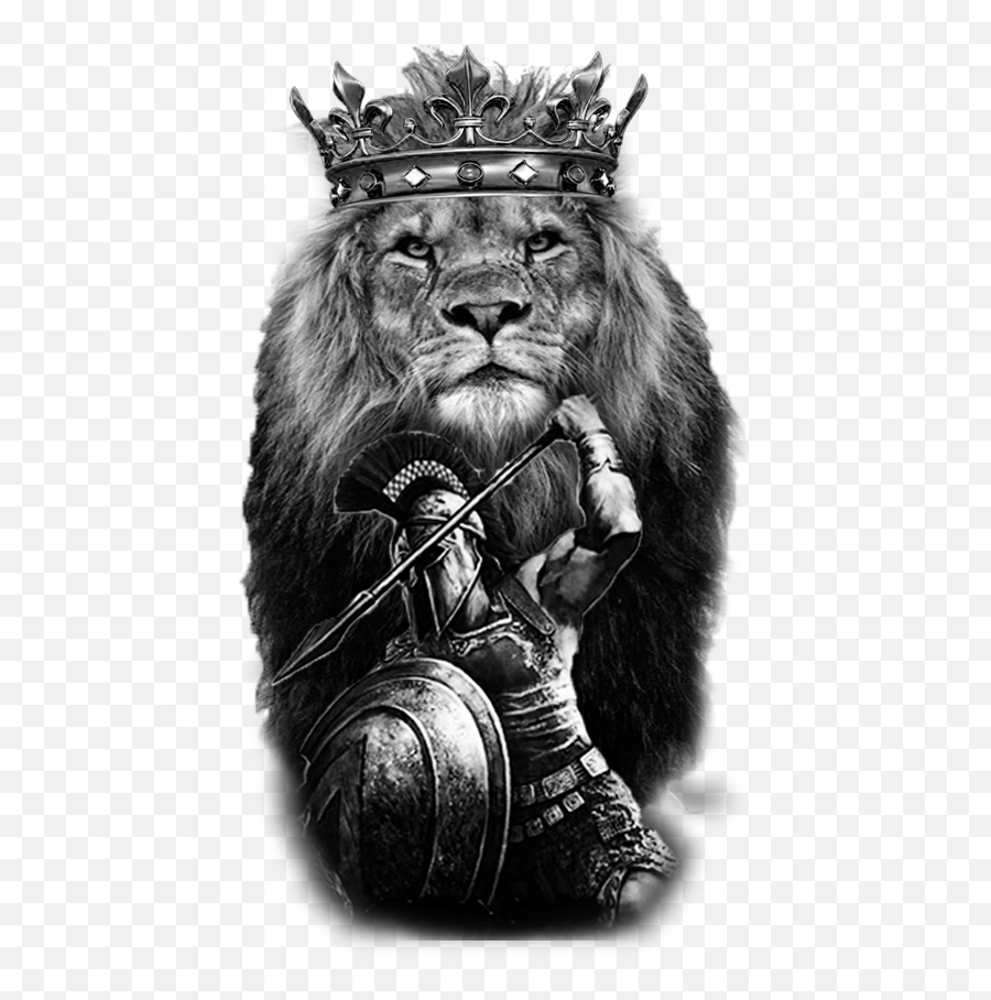 Roaring Lion Logo Png  Lion Head Tribal Tattoo Design Transparent Png   vhv