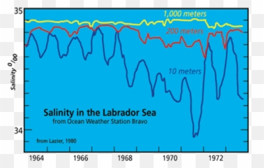If Rain Falls - Deep Salinity png