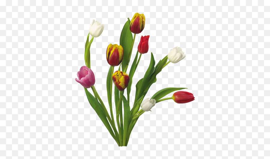 Download Spring Free Png Transparent Image And Clipart - Flowers,Spring Png