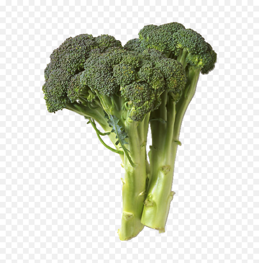 Index Of Imagegem - Cole Crops Png,Broccoli Transparent Background