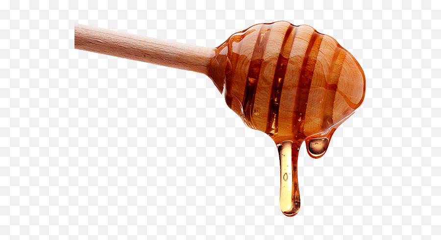 Download Honey Spoon Png - Honey Drizzle Transparent Png Transparent Honey Dipper,Honey Transparent Background