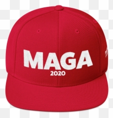 Maga 2020 - Make Snowflakes Cry Again Png,Trump Punisher Logo