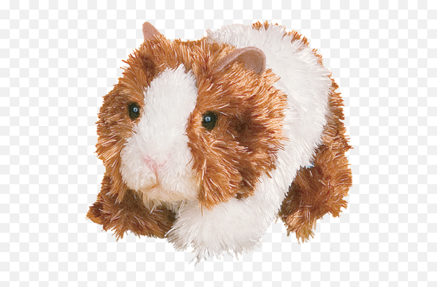 Marble Guinea Pig - Over The Rainbow Soft Png,Guinea Pig Png