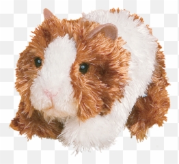 Marble Guinea Pig - Over The Rainbow Soft Png,Guinea Pig Png