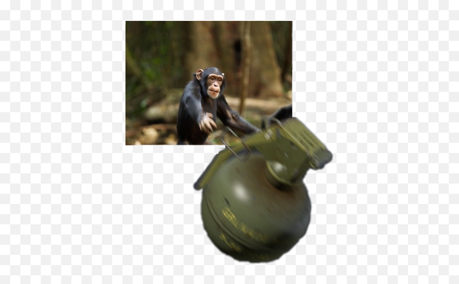 Pixilart - Harambe S Uploaded By Snocthehedge Discord Monkey Throwing Grenade Png,Transparent Harambe