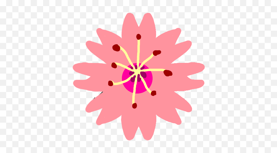 Cherry Blossoms Cutie Mark Flower Blossom - Decorative Png,Cherry Blossom Flower Png