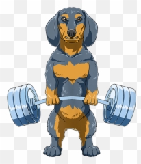 Weightlifting Dachshund Deadlifting Powerlifting T - Barbell png