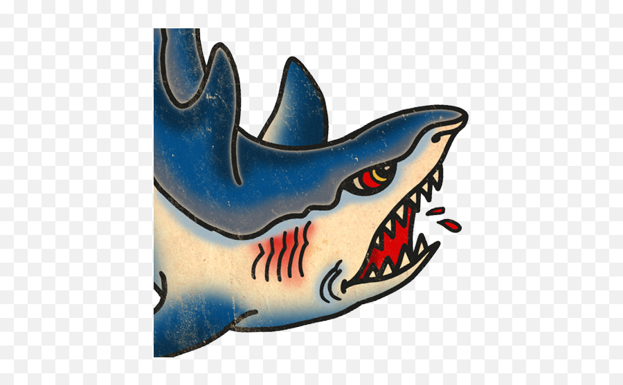 Download Hd Sharks - Shark Transparent Png Image Nicepngcom Shark,Sharks Png