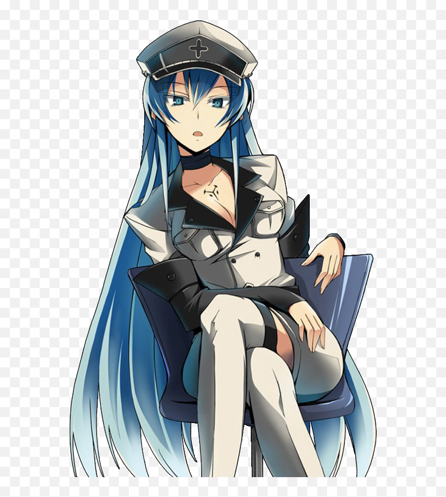 Esdeath 1920x1080akame Ga Kill Ranimewallpaper - Anime Esdeath Png,Akame Tumblr Icon