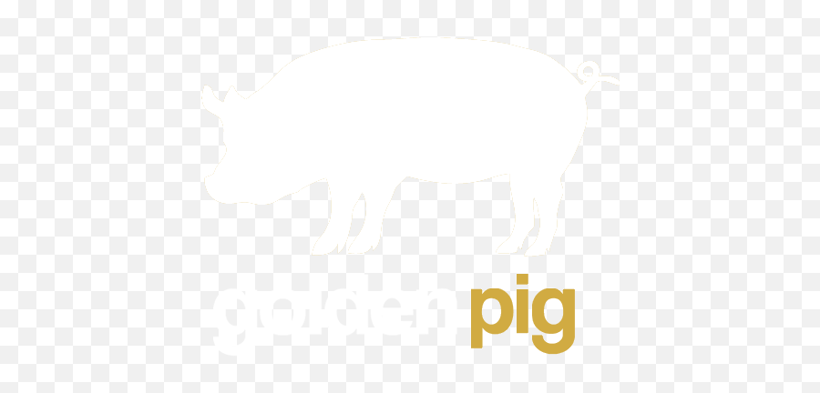 Brisbane Cooking School U0026 Classes - Golden Pig Asian Restaurant Domestic Pig Png,Pig Transparent