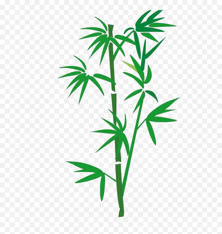 Bamboo Png Download - Bamboo Cartoon Png,Bamboo Transparent Background