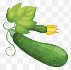 Zucchini Clipart Png - Zucchini Clipart,Zucchini Png