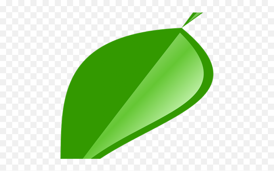 Download Hd Green Leaves Clipart Single Leave - Leaf Illustration Png,Leave Png
