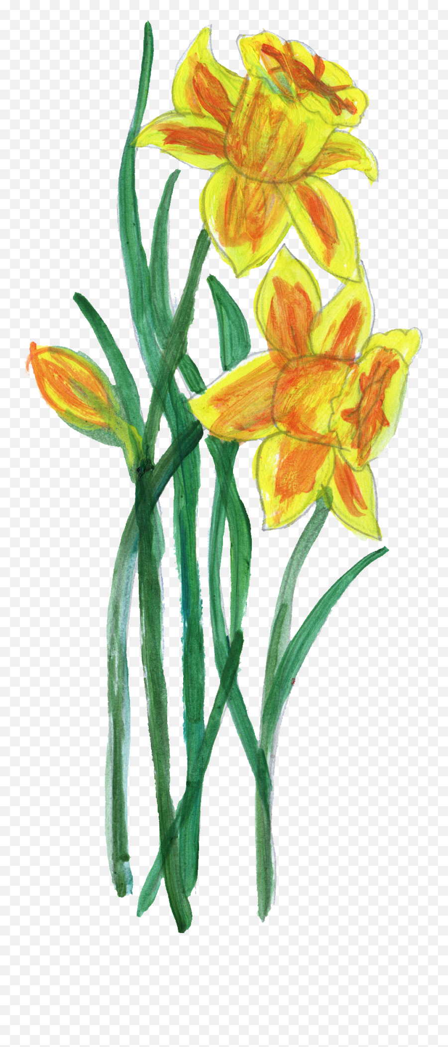 10 Paint Flower Png Transparent Onlygfxcom - Yellow Paint Flower Png,Lily Flower Png