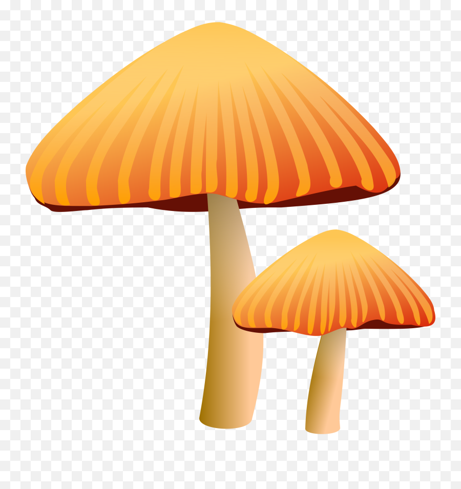Free Mushroom Transparent Download Clip Art - Mushroom Clip Art Png,Mushroom Transparent Background