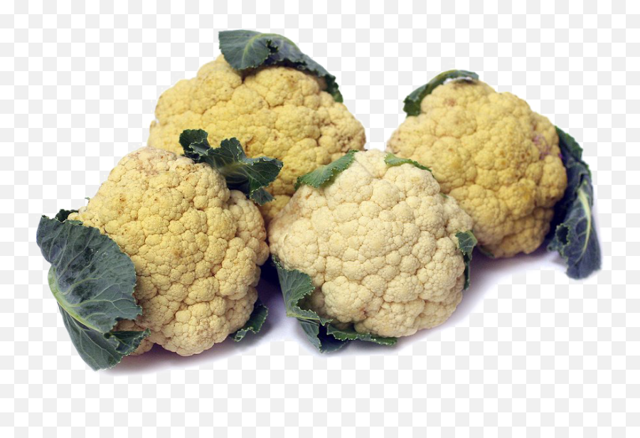Cauliflower Png Image Free Download - Cauliflower,Cauliflower Png