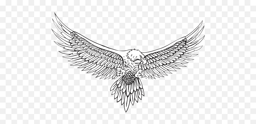 Png Sector Eagle Logo - Free Transparent Png Logos Drawing Eagle With Wings Spread,Bald Eagle Png