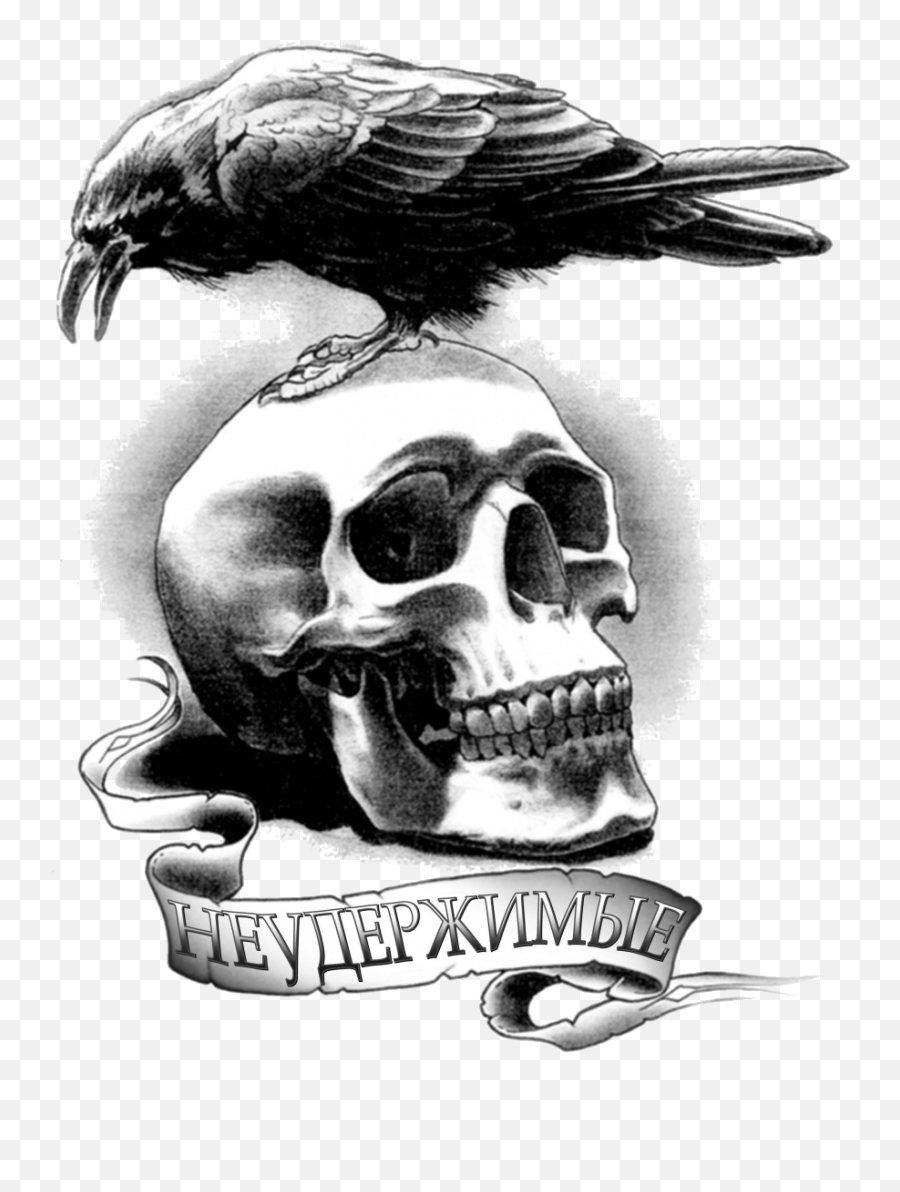 Download Tattoo Barney Artist Youtube - Crow On Skull Tattoo Png,Expendables Logos