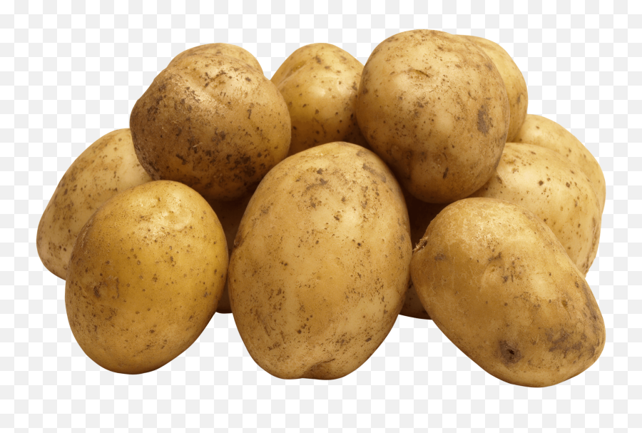 Group Of Potatoes Transparent Png - Potato Png,Potatoes Png