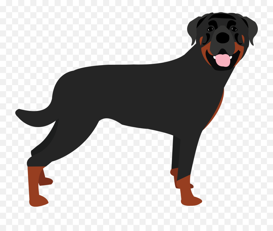 Rottweiler Dogs In The News - Rottweiler Clipart Transparent Png,Rottweiler Png