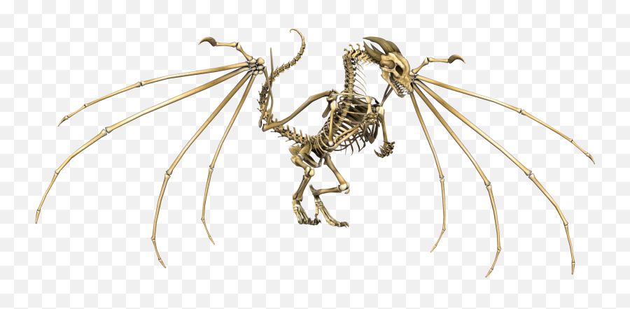 Dragon Skull Png - Dragon Skeleton Wings Flying Fantasy Skeleton Dragon Dnd 5e,Skeleton Png Transparent