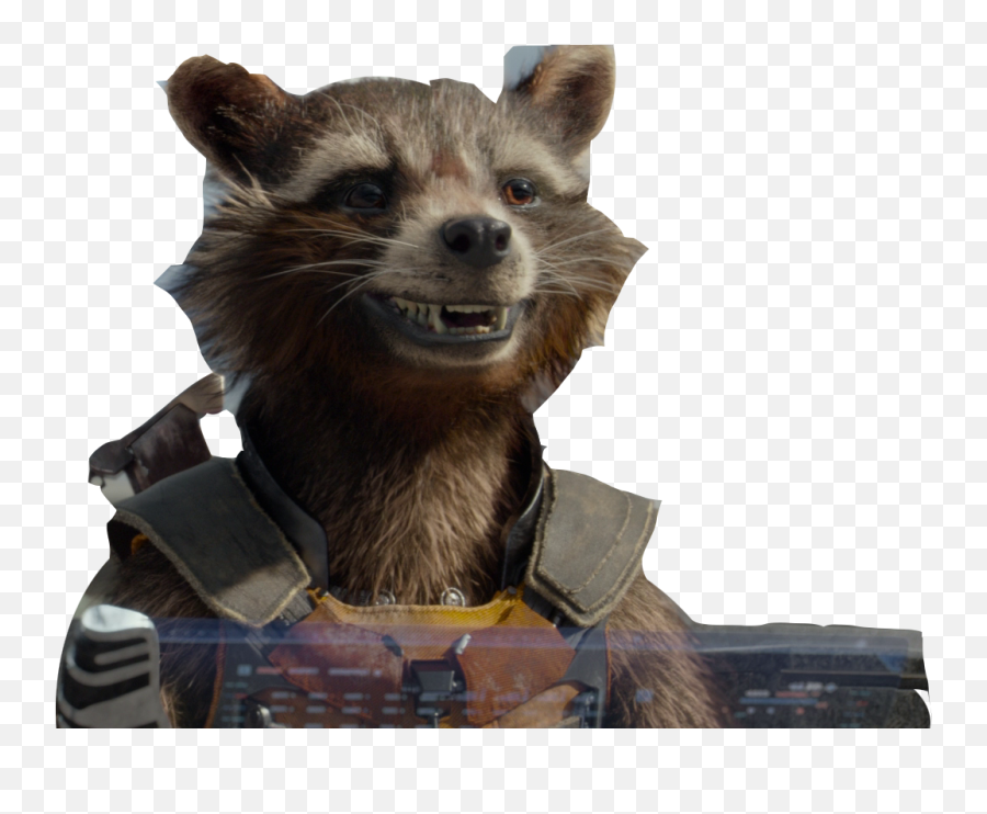 Download Rocket Raccoon - Rocket Raccoon Avengers Endgame Old Is Rocket Raccoon Png,Raccoon Transparent