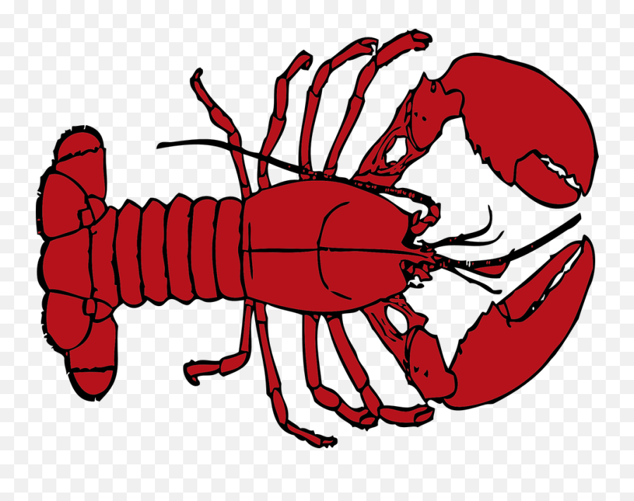 Download - Lobsteranimalspngtransparentimagestransparent Png,Cute Animals Png