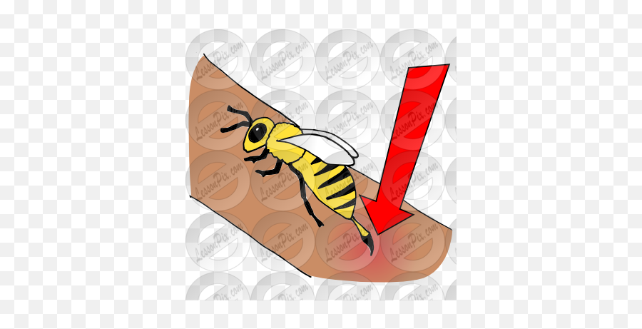 Sbabcp35 Stung By A Bee Clipart Png Big Pictures Hd - Bee Sting,Bee Clipart Png
