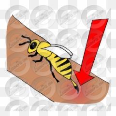 Sbabcp35 Stung By A Bee Clipart Png Big Pictures Hd - Bee Sting,Bee Clipart Png