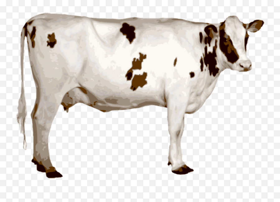 Cow Clipart Indian Transparent Free For - Indian Cow Images Png,Indian Png