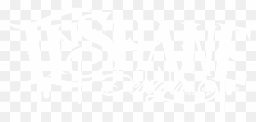 Thin Blue Line Of Courage Punisher - Inshane Designs png