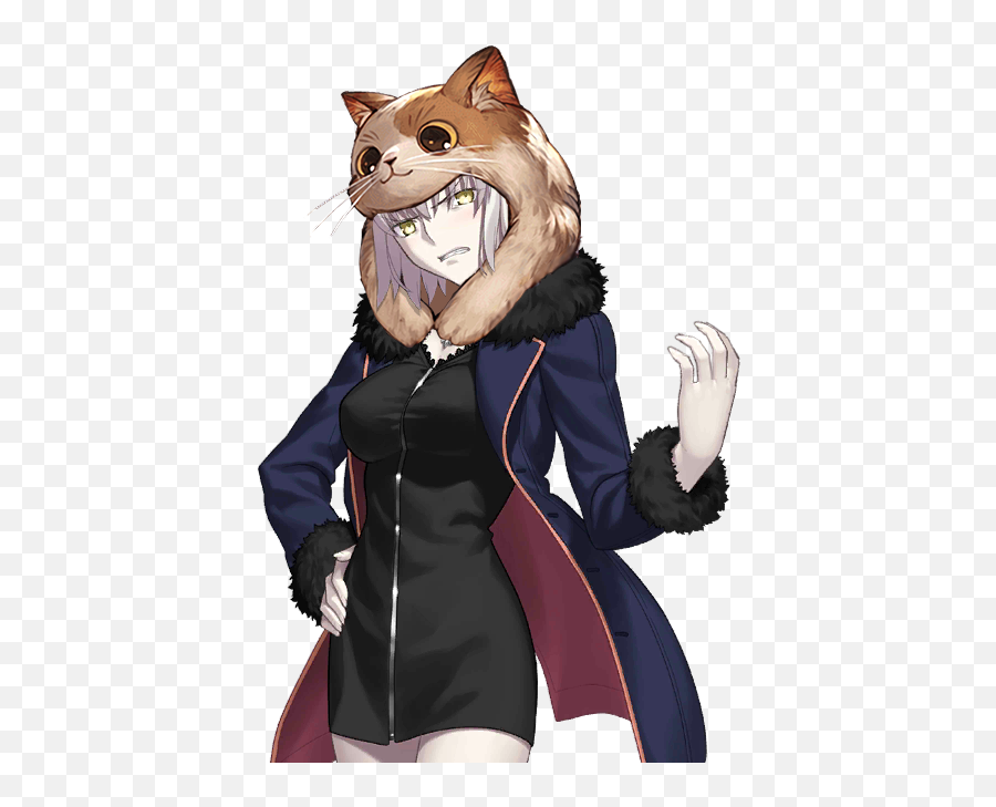 Jalter With A Cat Hat Grandorder - Jalter Disgusted Png,Cat In The Hat Transparent