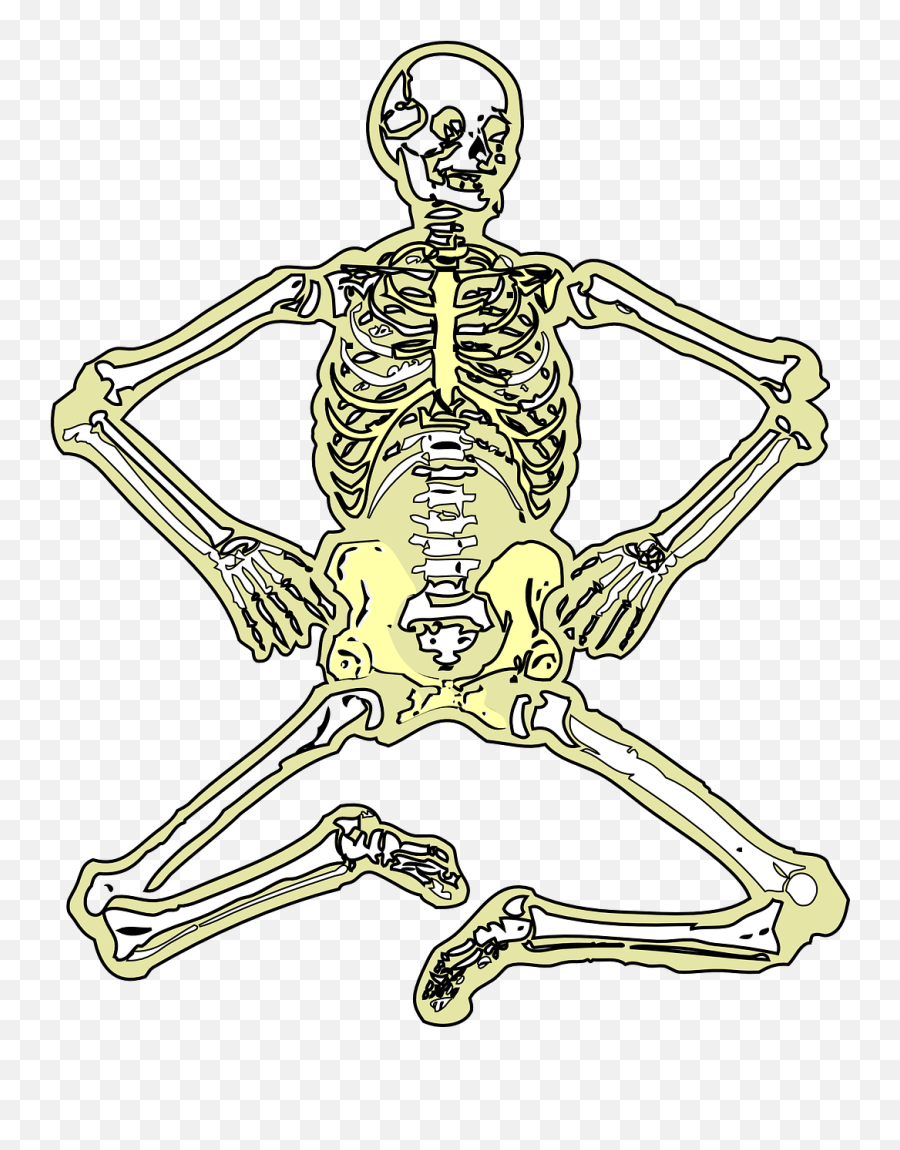 Skeleton Dead Bones - Free Vector Graphic On Pixabay Human Skeleton Png,Skeleton Arm Png