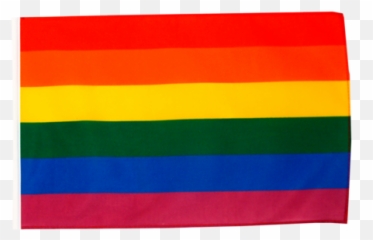 Rainbow Flag Size Xs 30 45 Cm - png