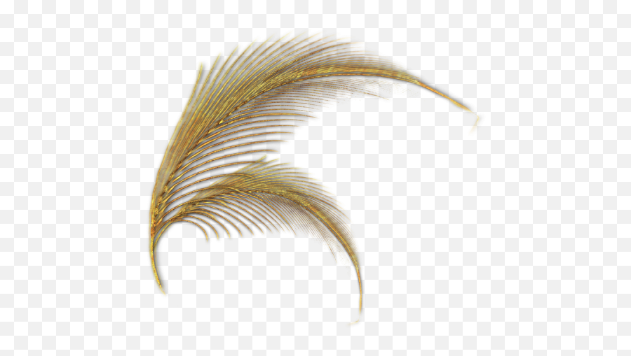 Gold Feathers Png Transparent Images U2013 Free - Transparent Gold Feathers,Feathers Png