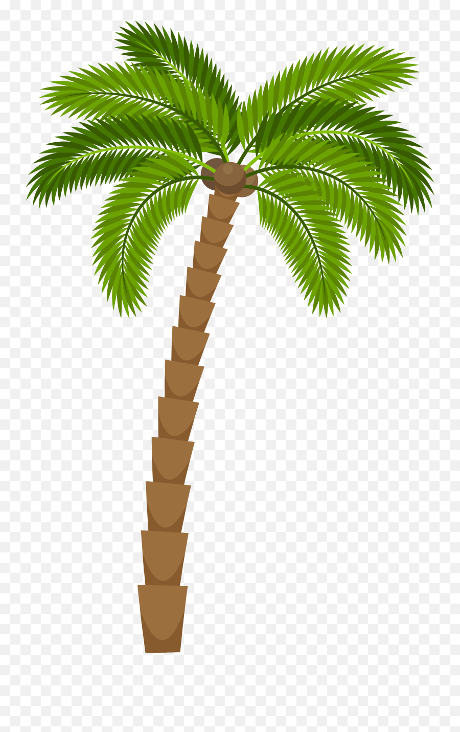 Plant Drawing Png 1181912 - Png Images Pngio Cartoon Palm Tree Png,Palm Trees Png