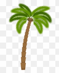 Plant Drawing Png 1181912 - Png Images Pngio Cartoon Palm Tree Png,Palm Trees Png