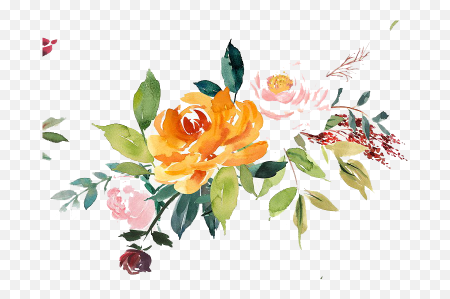 Tropical Pattern Png Peoplepng Com - Floral Essential Oil Roller Blends,Watercolor Transparent Background
